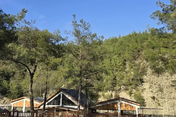 Yedigöze Milli Parkı - Piknik Alanı - Resim 6