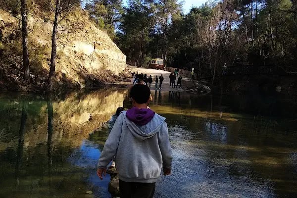 Yedigöze Milli Parkı - Piknik Alanı - Resim 20