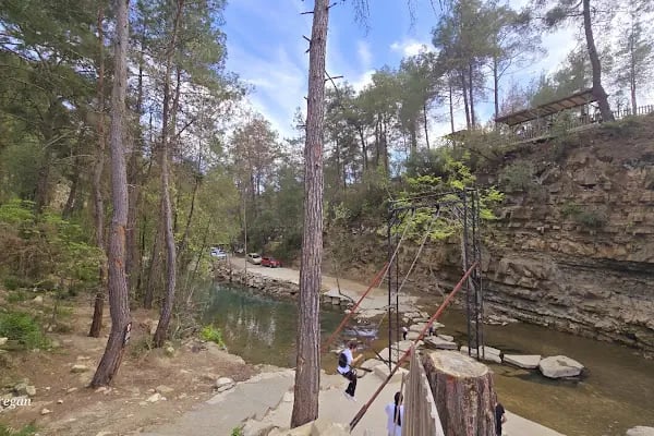 Yedigöze Milli Parkı - Piknik Alanı - Resim 5