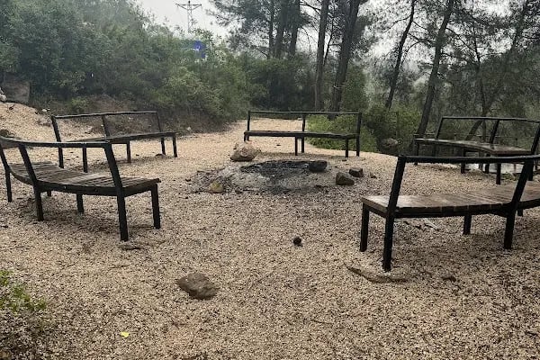 Yedigöze Milli Parkı - Piknik Alanı - Resim 10