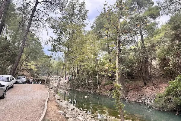 Yedigöze Milli Parkı - Piknik Alanı - Resim 9