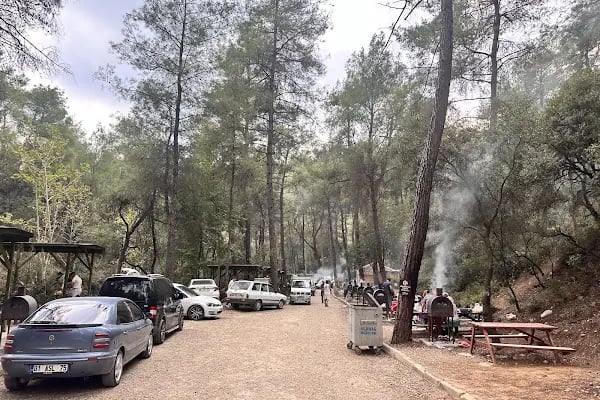 Yedigöze Milli Parkı - Piknik Alanı - Resim 1