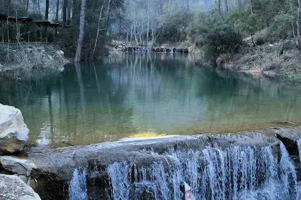 Yedigöze Milli Parkı - Piknik Alanı - Resim 4