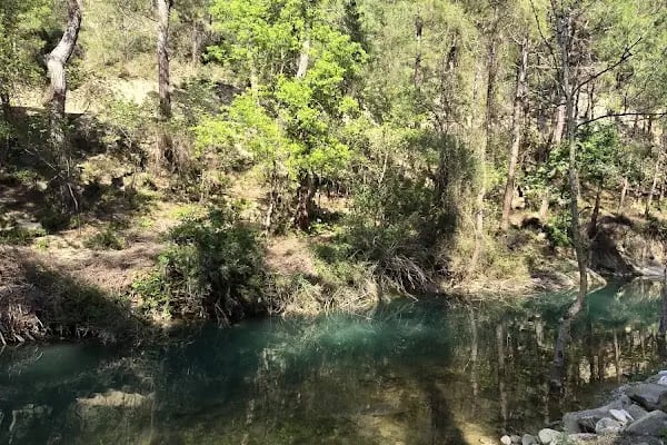 Yedigöze Milli Parkı - Piknik Alanı - Resim 17