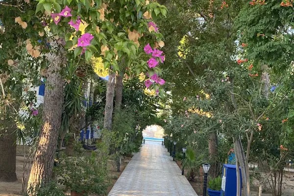 Gümbet Anıl Beach - Resim 10