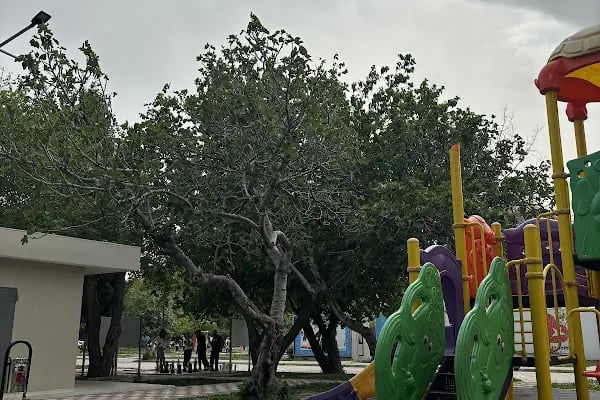 Bayraklı Belediyesi 100.Yıl Matematik ve Zeka Oyunları Parkı - Resim 17