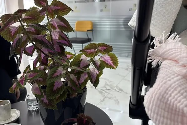 07 Dental Ağız ve Diş Sağlığı Polikliniği - Resim 15