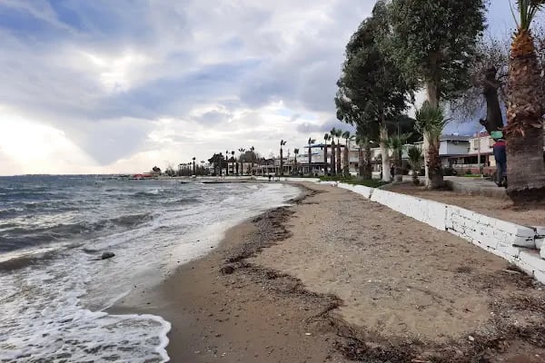 Özgün Cafe Beach - Resim 3