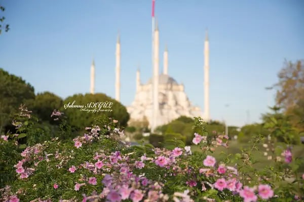 Akgül Foto - Resim 1