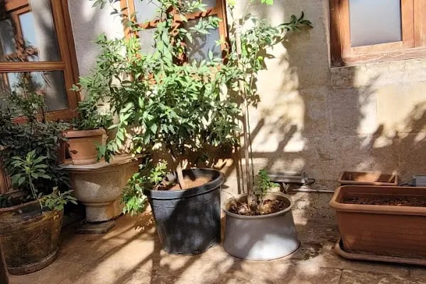 Duran Ağa Konağı Butik Otel - Resim 15