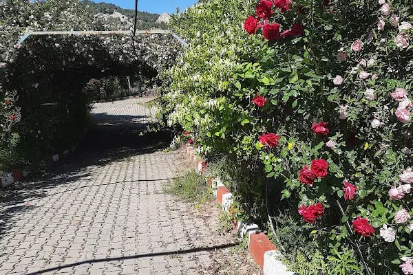 Manisa Ruh Sağlığı ve Hastalıkları Hastanesi Ahmetli Ek Ünitesi - Resim 5
