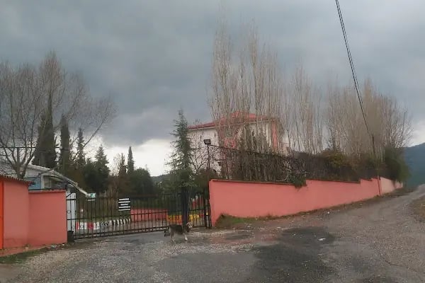 Manisa Ruh Sağlığı ve Hastalıkları Hastanesi Ahmetli Ek Ünitesi - Resim 7