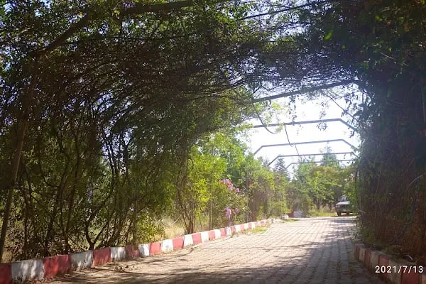 Manisa Ruh Sağlığı ve Hastalıkları Hastanesi Ahmetli Ek Ünitesi - Resim 9