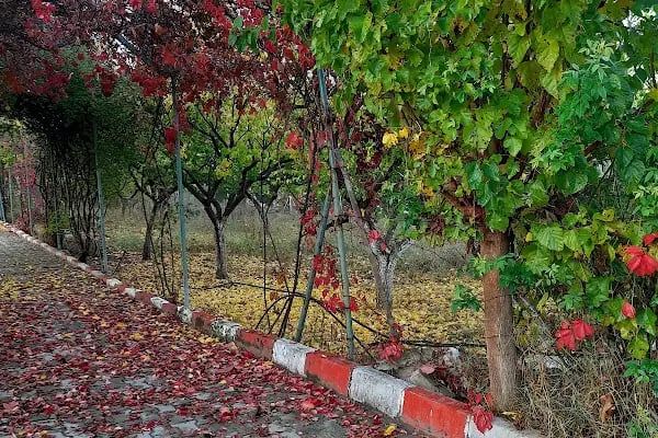 Manisa Ruh Sağlığı ve Hastalıkları Hastanesi Ahmetli Ek Ünitesi - Resim 3