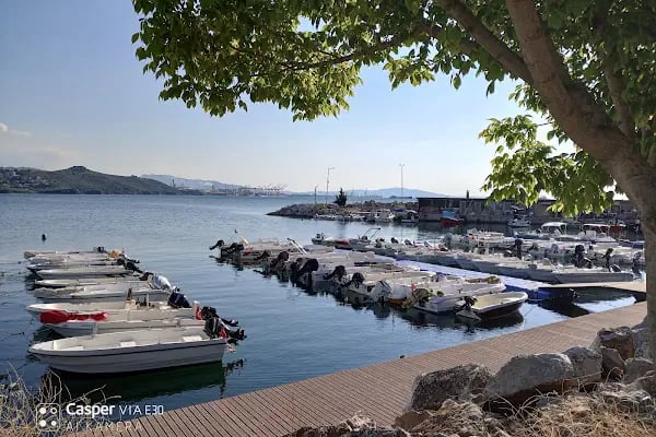 Gemlik Seç Market - Resim 11