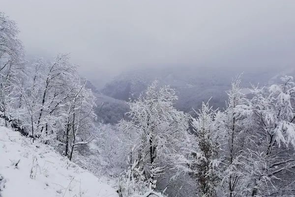 Zirve dağ evi - Resim 20