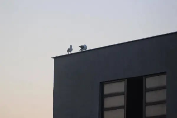 La Vie İstanbul - Resim 6