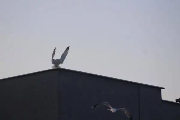 La Vie İstanbul - Resim 8