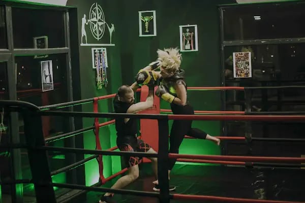 South Fight Studio - Resim 3