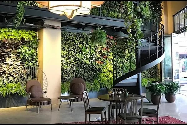 The House Cafe - Resim 2