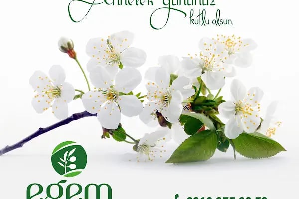 Egem Lokman Hekim - Resim 17