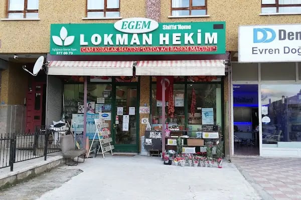 Egem Lokman Hekim - Resim 4