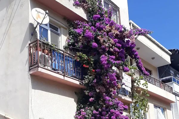 Büyükada Deniz Kulübü - Resim 11