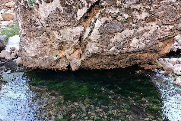 Eğni Yaylası - Resim 15