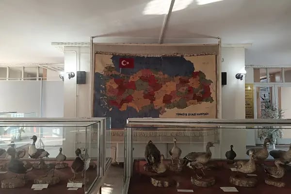 Konya İzzet Koyunoğlu Şehir Müzesi - Resim 5