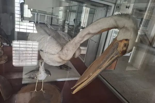 Konya İzzet Koyunoğlu Şehir Müzesi - Resim 6
