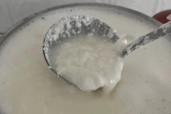 Kaya Çiftliği - Arnavutköy Şube - Resim 4