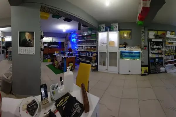Organikcim Petshop Akvaryum Dünyası - Resim 5