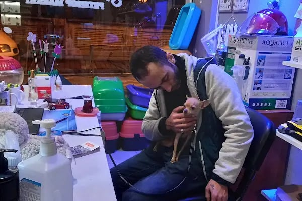 Organikcim Petshop Akvaryum Dünyası - Resim 20