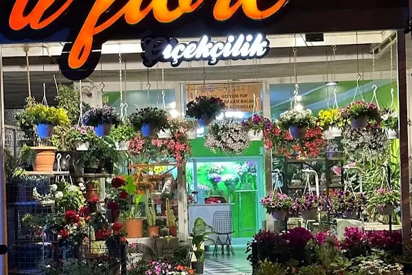 İL FİORE ÇİÇEKÇİLİK / BODRUM - Resim 2