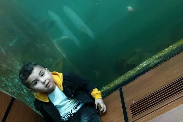 Alparslan Türkeş Şehir Parkı - Resim 10
