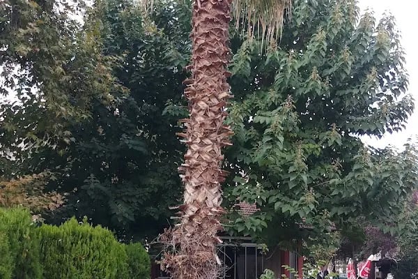 Alparslan Türkeş Şehir Parkı - Resim 17
