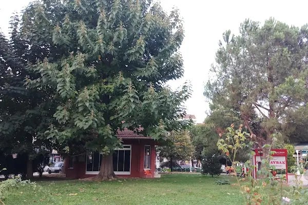 Alparslan Türkeş Şehir Parkı - Resim 8