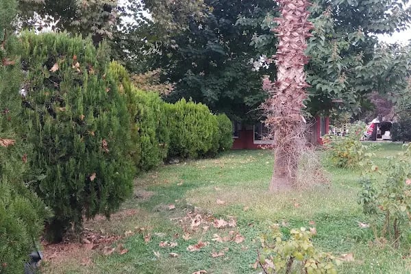 Alparslan Türkeş Şehir Parkı - Resim 7