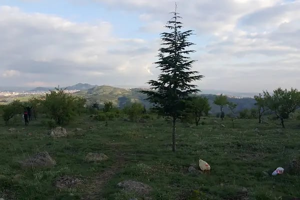 Toki Karacaören Konutları B-24 Blok - Resim 8