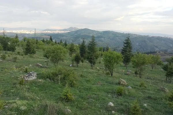 Toki Karacaören Konutları B-24 Blok - Resim 17