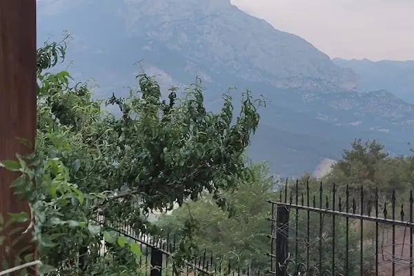 Pozantı Çamlı Villaları - Resim 16