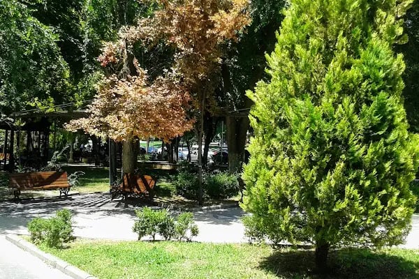 Karakedi Saklı Bahçe - Resim 9