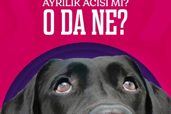 Elit Petshop Kıbrısşehitleri Şubesi - Resim 1