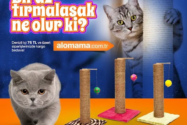 Elit Petshop Kıbrısşehitleri Şubesi - Resim 17