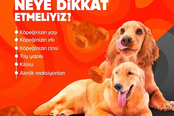 Elit Petshop Kıbrısşehitleri Şubesi - Resim 20