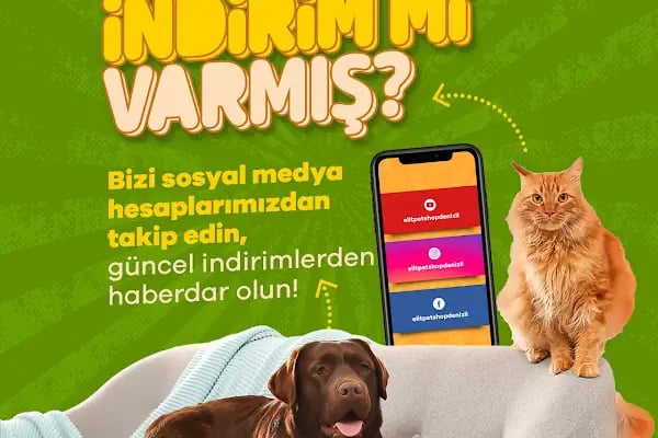 Elit Petshop Kıbrısşehitleri Şubesi - Resim 7