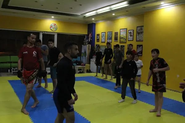 Ankara MMA Kursu - Resim 15