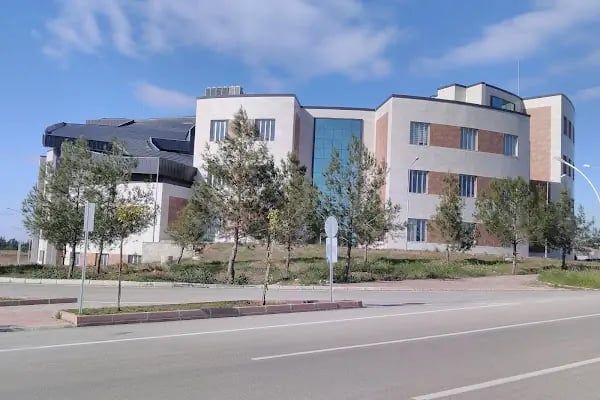 Çukurova Üniversitesi Güzel Sanatlar Fakültesi - Resim 15