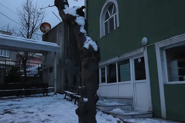 Boğazköy Merkez Mahallesi Bilali Habeşi Cami Kuran Kursu Yaptırma Ve Yaşatma Dern. - Resim 7