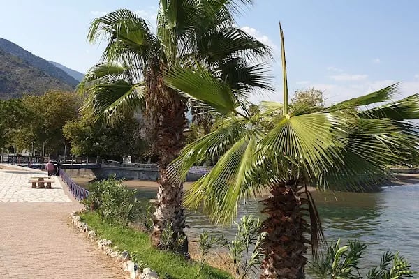 Finike Aile Çay Bahçesi - Resim 12